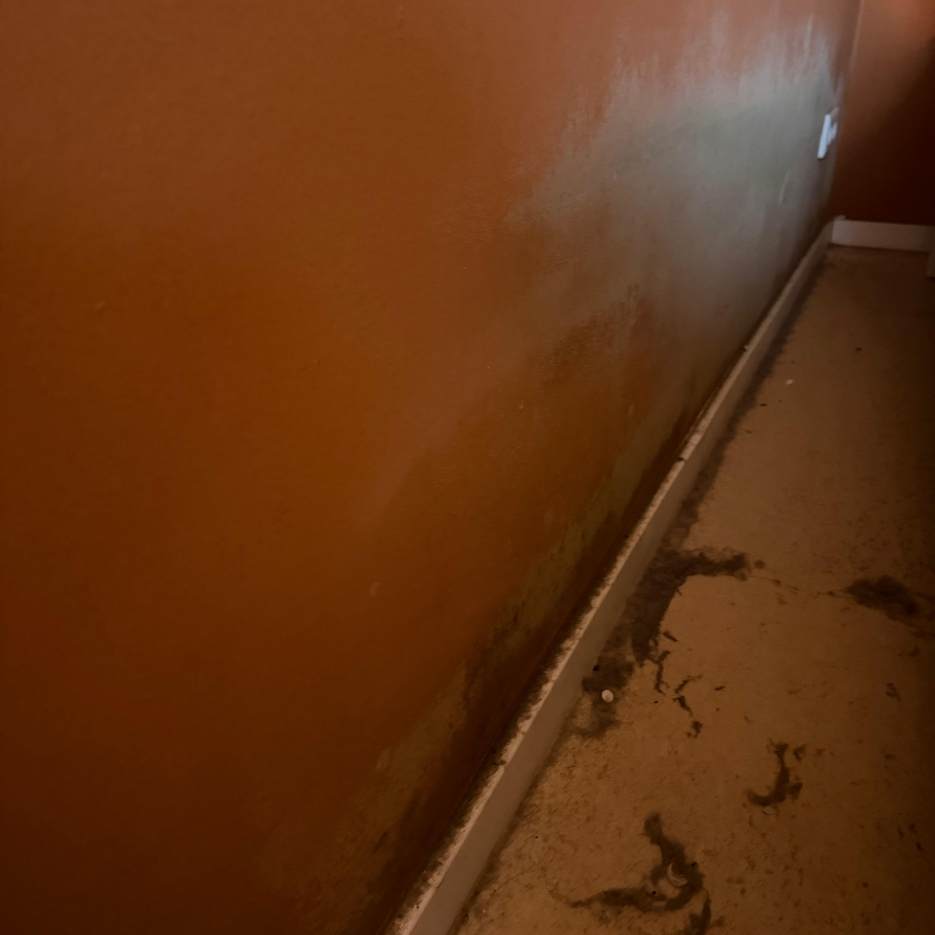 Treppenbereich vor Renovierung und neuer Oberflächengestaltung Titel: